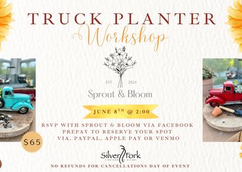 Truck Planter.JPG