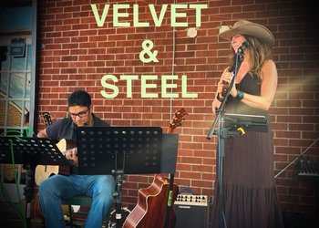 Velvet and Steel v2.jpg