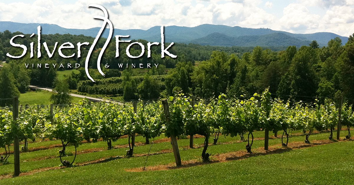 Silver Fork Vineyard & Winery logo