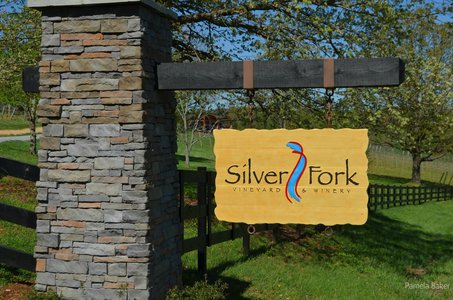 Silver Fork sign